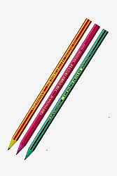 Bic Evolutıon 646 Kurşun Kalemi - BIC