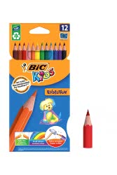 Bic Evolutıon Kuru Boya Kalemi 12'li Kutu - BIC