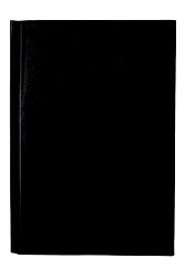 Liz Çizgili Modelis Defteri 17 x 24 cm - Liz