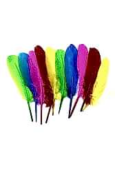 Puti Kuş Tüyü 10'lu Paket 4742 - Inox