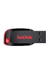 Sandisk 32 Gb Flash Disk Tf20 - Sandisk
